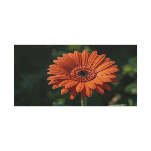 Orange Gerbera Daisy Canvas Wall Art - Botanical Floral Art Print, Dark Green Background - Matte Cotton Decor - Bedroom Wall Hanging, Living Room Home Accent - Bedroom Home Decoration