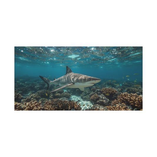 Tiger Shark Canvas Wall Art - Underwater Coral Reef Ocean Art Print, Blue Coastal Wall Decor - Matte Canvas Seascape - Living Room Home Decoration, Office Art - Bedroom Home Decoration