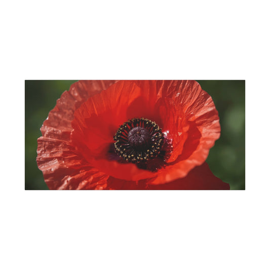 Red Poppy Flower Canvas Wall Art - Macro Botanical Art Print, Floral Nature Decor - Matte Cotton Canvas Print - Contemporary Style, Living Room Wall Decor, Bedroom Home Accent - Ready to Hang
