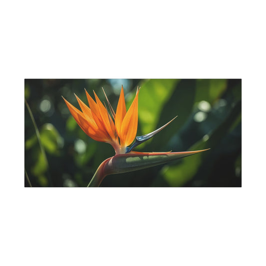 Bird Of Paradise Canvas Wall Art - Tropical Floral Botanical Art Print - Matte Cotton Art Print, Contemporary Nature Wall Decor - Living Room Bedroom Office Accent - Bedroom Home Decoration