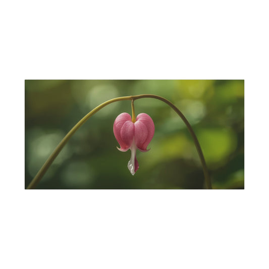 Bleeding Heart Flower Canvas Wall Art - Botanical Floral Art Print, Pink Bloom, Soft Green Bokeh - Contemporary Nature Wall Decor - Bedroom Home Decoration, Spa Wall Accent - Ready to Hang