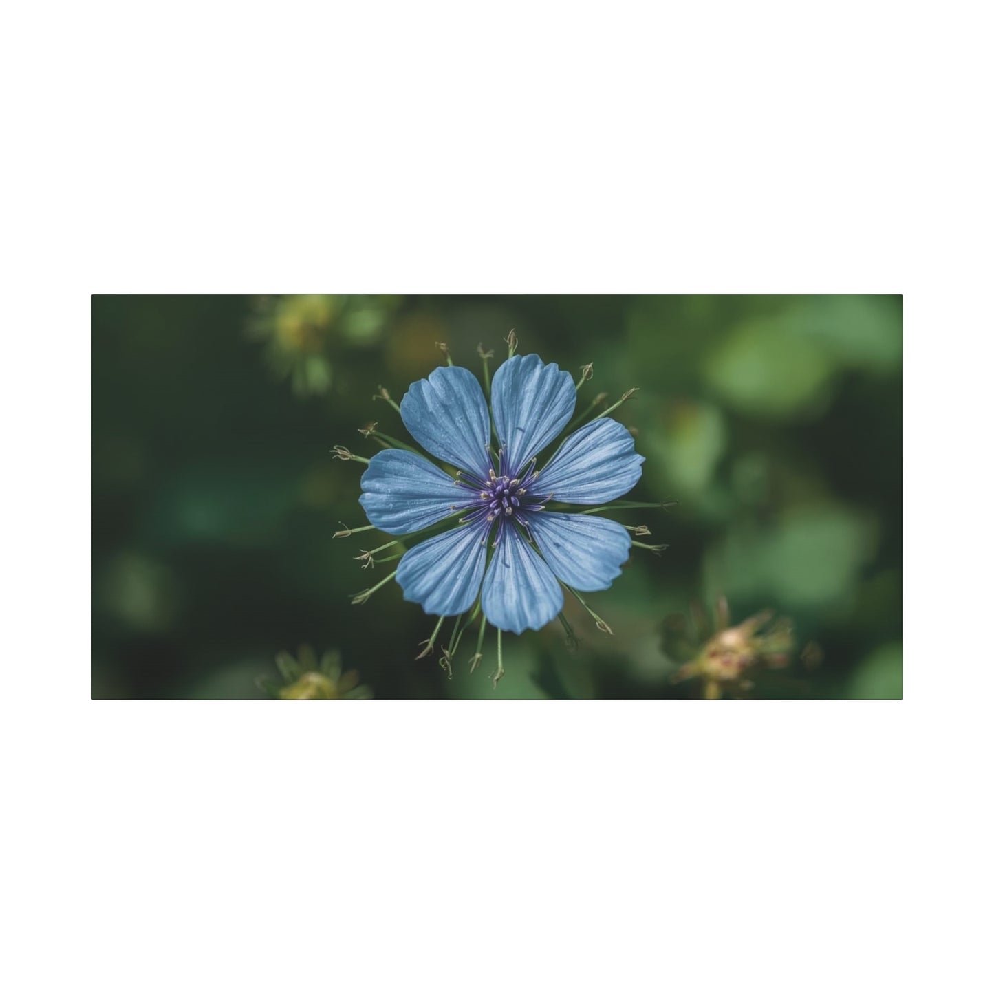 Blue Chicory Flower Canvas Wall Art - Botanical Floral Macro Art Print - Soft Matte Cotton Canvas, Contemporary Nature Wall Decor - Bedroom Living Room Home Decoration - Modern Farmhouse Style