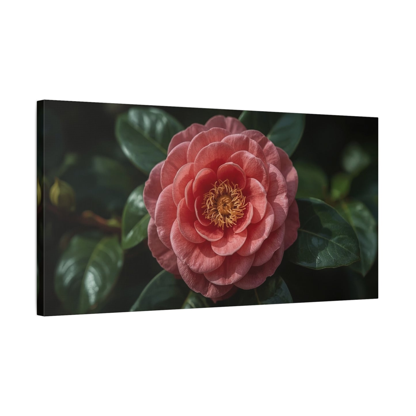 Pink Camellia Flower Canvas Wall Art - Botanical Floral Art Print, Dark Green Leaves, Matte Finish Decor - Traditional Style, Bedroom Wall Decor, Living Room Accent - Bedroom Home Decoration