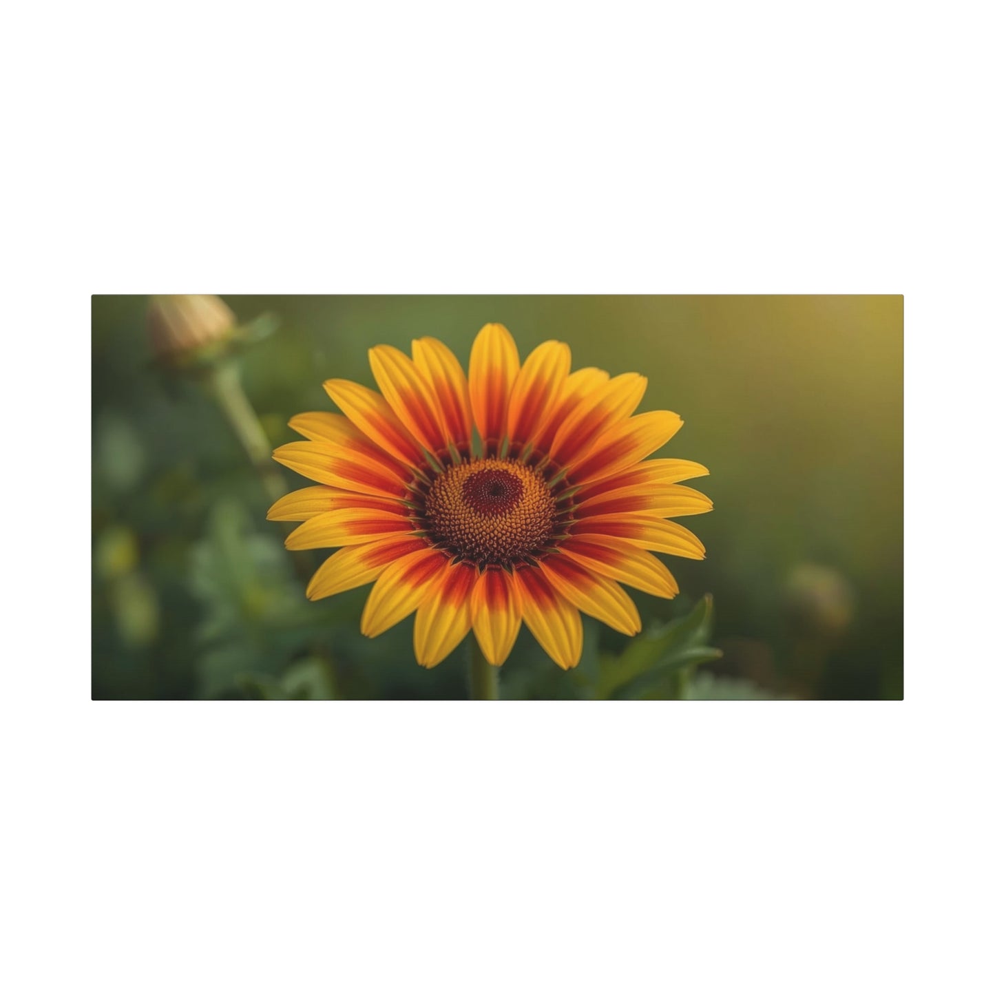Blanket Flower Canvas Wall Art - Orange Yellow Floral Close Up, Botanical Canvas Print - Warm Nature Art Print, Bedroom Wall Decor, Living Room Home Accent - Bedroom Home Decoration - Ready to Hang