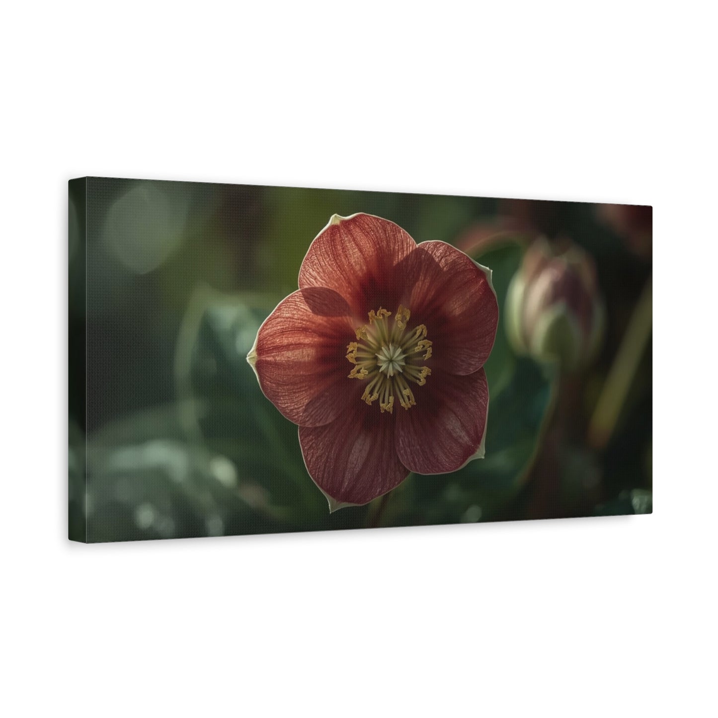 Hellebore Flower Canvas Wall Art - Botanical Floral Art Print, Moody Matte Canvas Print - Traditional Style, Bedroom Wall Decor, Living Room Home Decoration, Office Art - Bedroom Home Decoration