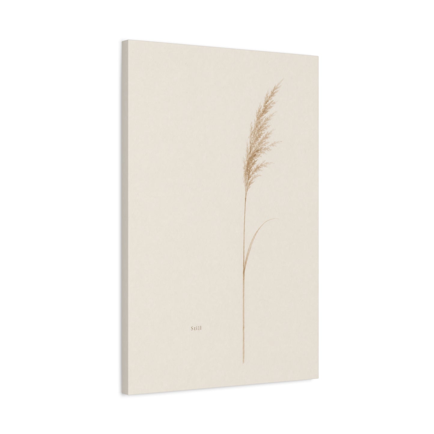 "Still" Minimalist Botanical Canvas Wall Art - Beige Pampas Grass Print, Neutral Contemporary Home Decor - Bedroom Living Room Decoration - Calm Nature Wall Hanging For Meditation Space