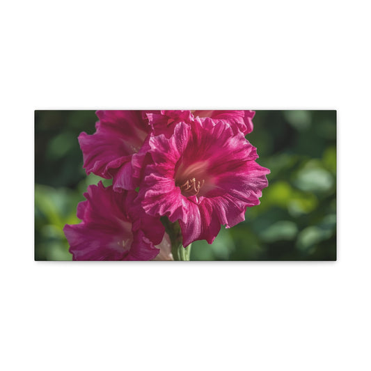 Magenta Gladiolus Flower Canvas Wall Art - Floral Botanical Close Up Art Print - Soft Light, Matte Cotton Canvas - Contemporary Bedroom Decor, Living Room Wall Decor, Office Accent - Ready to Hang
