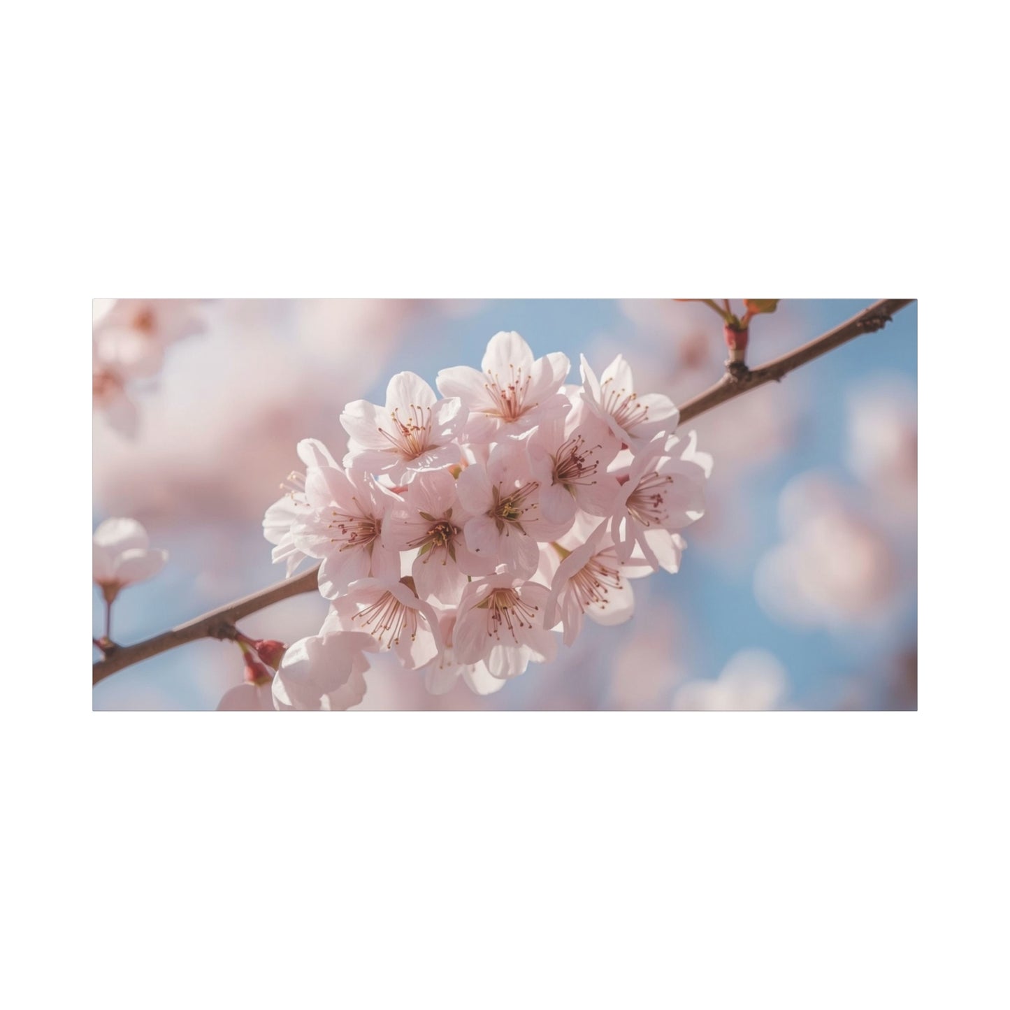 Cherry Blossom Canvas Wall Art - Soft Pink Sakura Flower Branch Art Print - Serene Floral Home Decor - Cotton Canvas Wall Hanging - Bedroom Living Room Decoration, Spa Style Accent