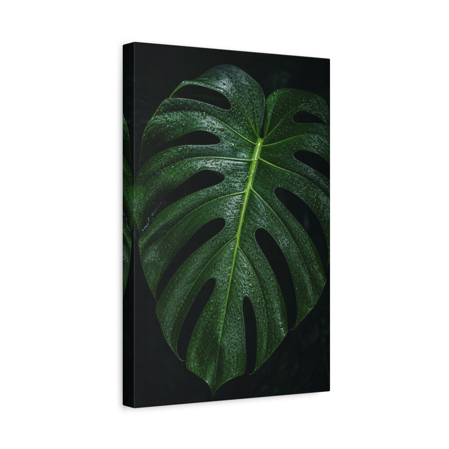 Monstera Leaf Canvas Wall Art - Botanical Art Print, Dark Green Tropical Foliage Print - Matte Cotton Canvas - Contemporary Minimalist Style - Living Room Wall Decor, Bedroom Home Accent