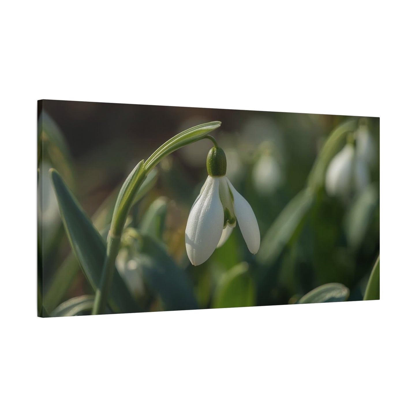 Snowdrop Flower Canvas Wall Art - Botanical Macro Art Print, Soft Green White Floral Print - Matte Cotton Canvas - Traditional Nature Style - Bedroom Wall Decor, Spa Wall Art - Ready to Hang