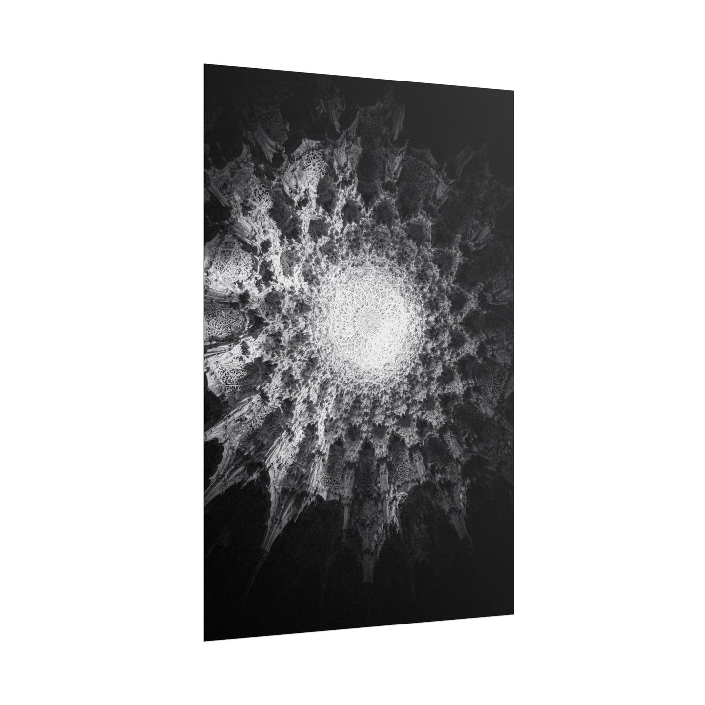 Flux Pro 2.0 Professional Black And White Photography O 484c1490 — Poster