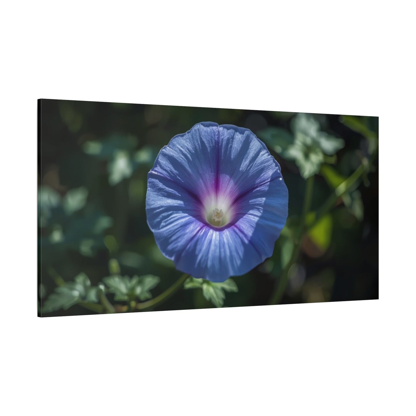 Blue Morning Glory Canvas Wall Art - Floral Botanical Art Print, Purple Bloom Wall Decor - Matte Cotton Art Print, Contemporary Nature Style - Bedroom Decoration, Living Room Accent - Ready to Hang