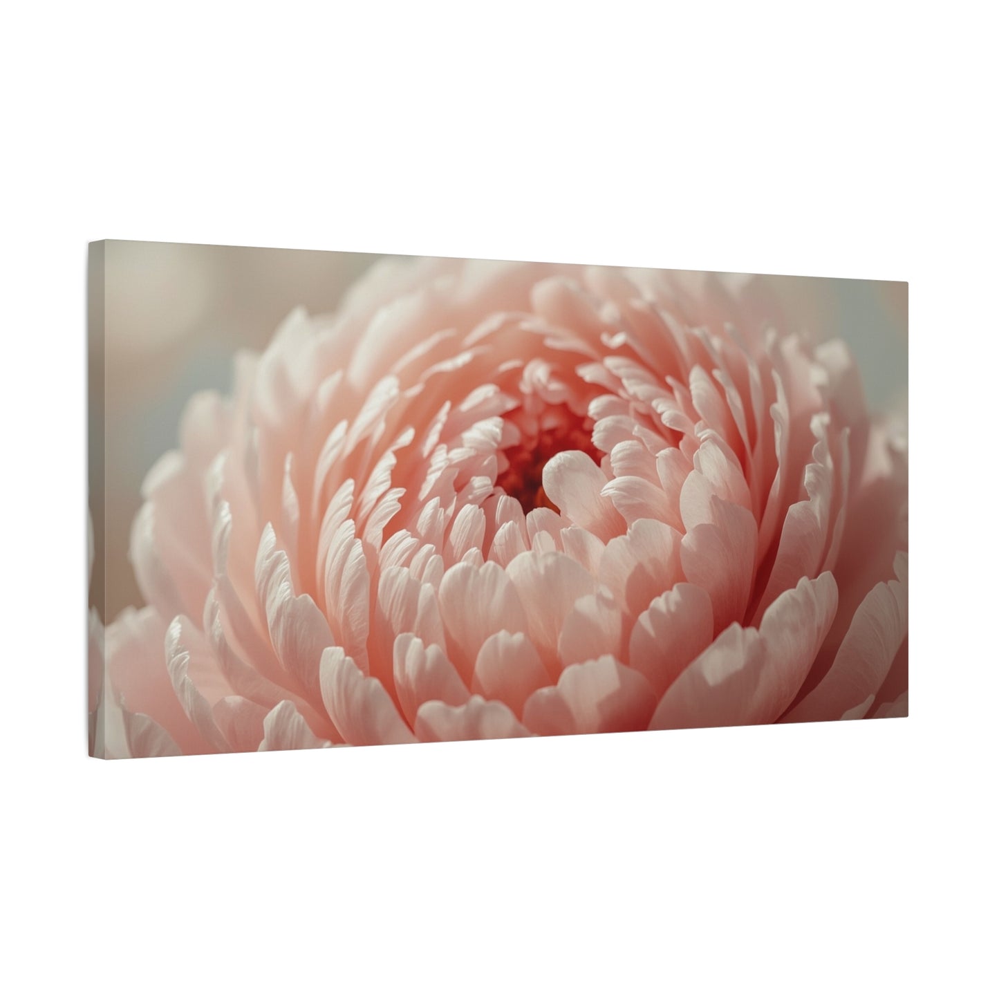 Blush Pink Peony Canvas Wall Art - Soft Floral Close Up, Botanical Home Decoration - Matte Cotton Print, Romantic Traditional Style - Bedroom Wall Decor, Living Room Accent - Bedroom Home Decoration