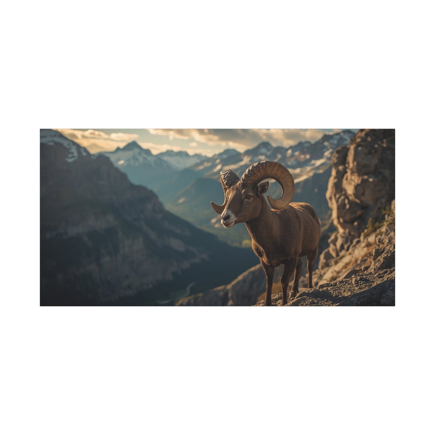 Bighorn Sheep Canvas Wall Art - Mountain Wildlife Art Print, Golden Alpine Cliff Scene - Matte Cotton Artwork - Rustic Lodge Decor, Living Room Wall Decor, Office Art - Bedroom Home Decoration