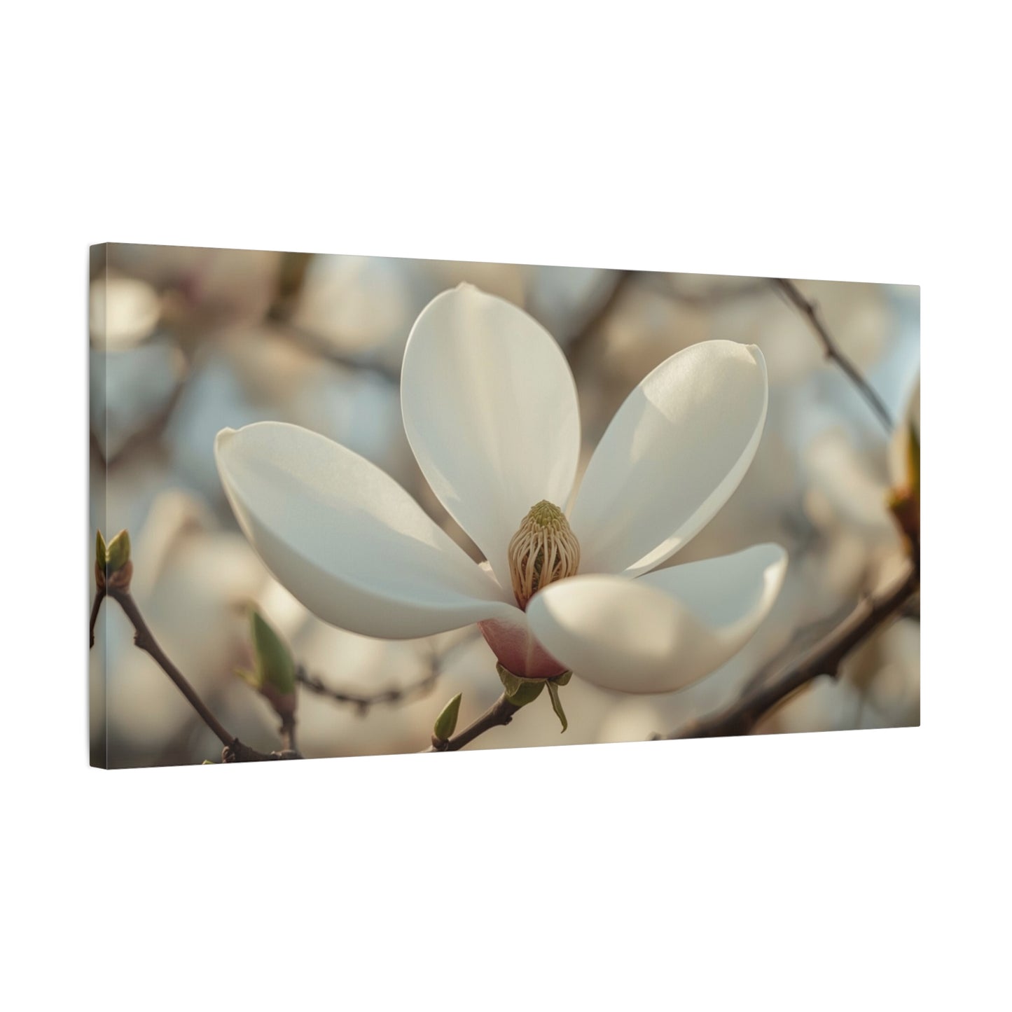 White Magnolia Flower Canvas Wall Art - Soft Botanical Art Print, Cotton Canvas Print - Traditional Style, Bedroom Wall Decor, Living Room Home Decoration, Office Art Accent - Modern Farmhouse Style