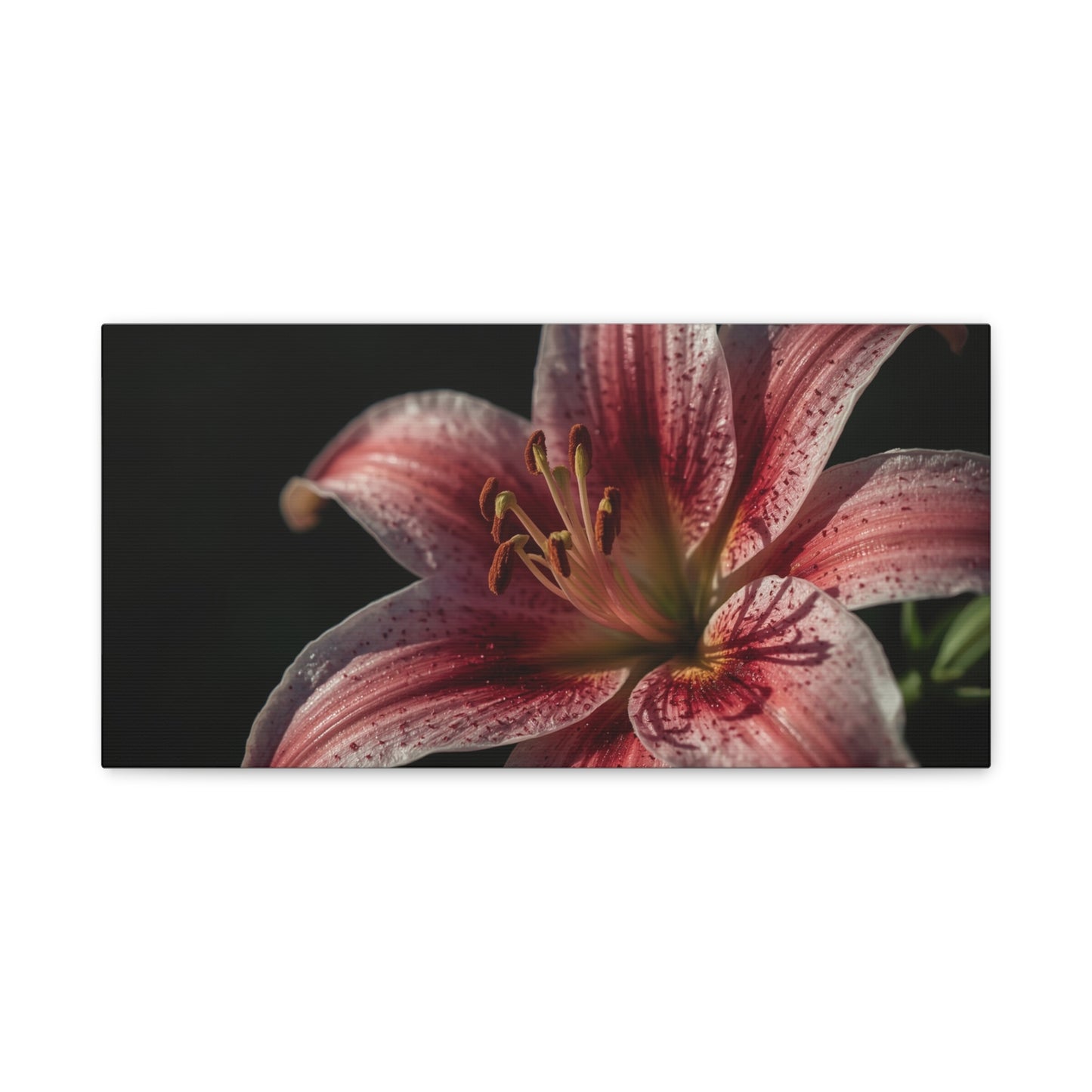 Pink Stargazer Lily Canvas Wall Art - Floral Macro Art Print, Dark Botanical Canvas Print - Matte Cotton Decor, Contemporary Style - Bedroom Wall Accent, Living Room Decoration - Ready to Hang