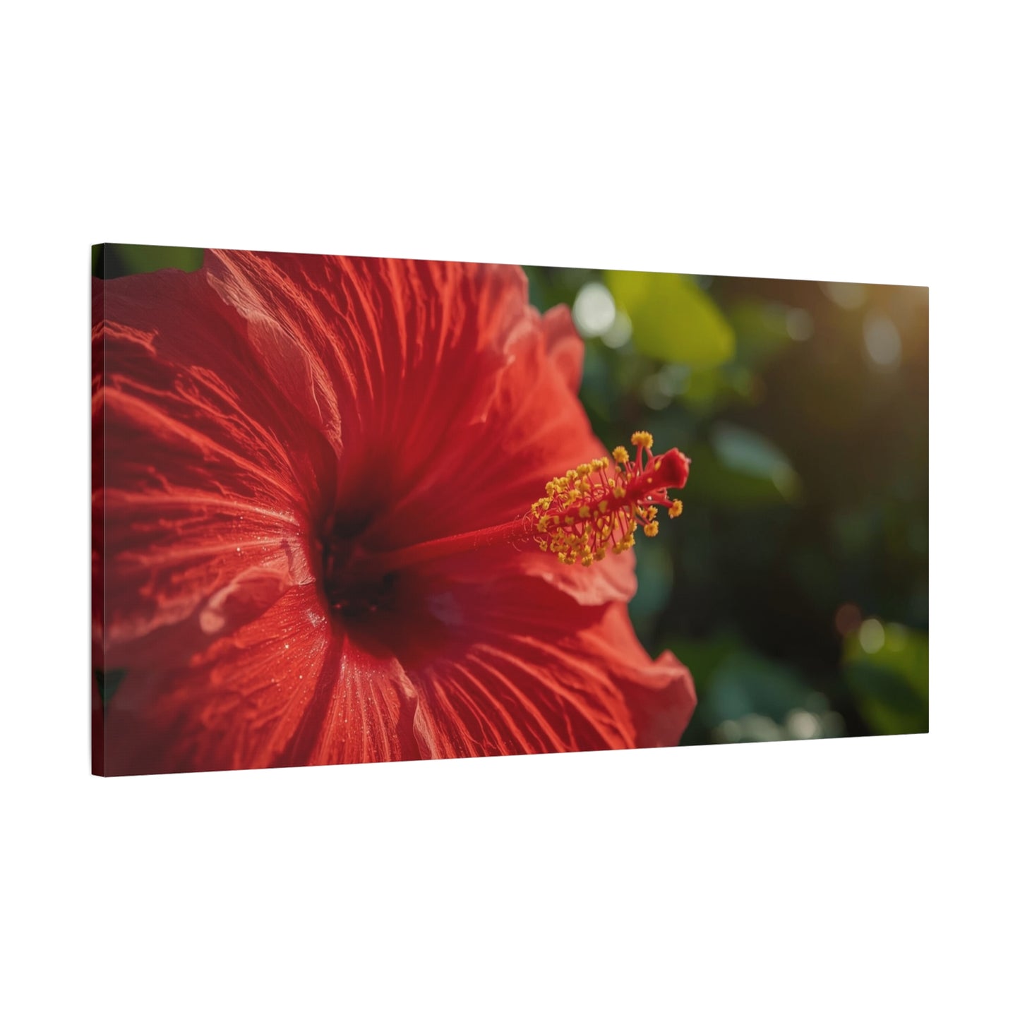 Red Hibiscus Flower Canvas Wall Art - Tropical Floral Botanical Art Print, Warm Sunlit Petals, Matte Cotton Canvas, Contemporary Nature Decor For Bedroom Living Room Office - Living Room Wall Decor