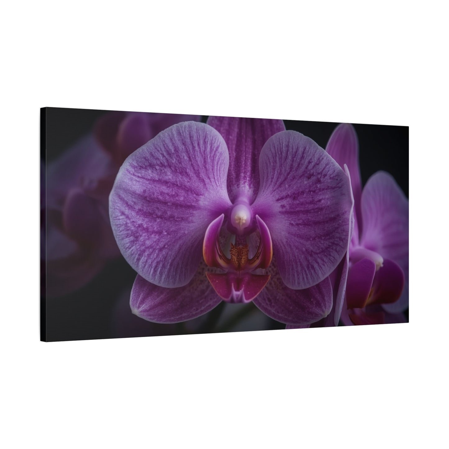 Purple Orchid Canvas Wall Art - Phalaenopsis Flower Macro Floral Print, Botanical Art Print, Cotton Canvas, Contemporary Style - Bedroom Wall Decor, Spa Wall Accent - Bedroom Home Decoration
