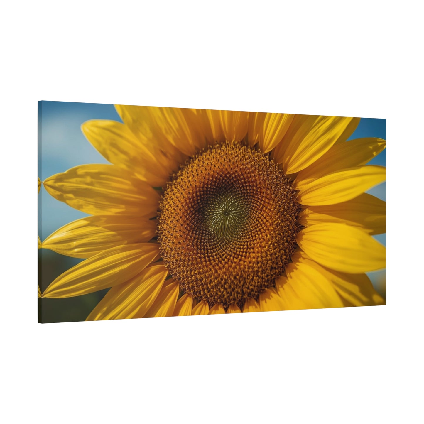 Sunflower Canvas Wall Art - Golden Floral Close Up Print, Blue Sky Botanical Wall Decor - Matte Cotton Art Print - Contemporary Living Room Decoration, Bedroom Home Accent - Bedroom Home Decoration