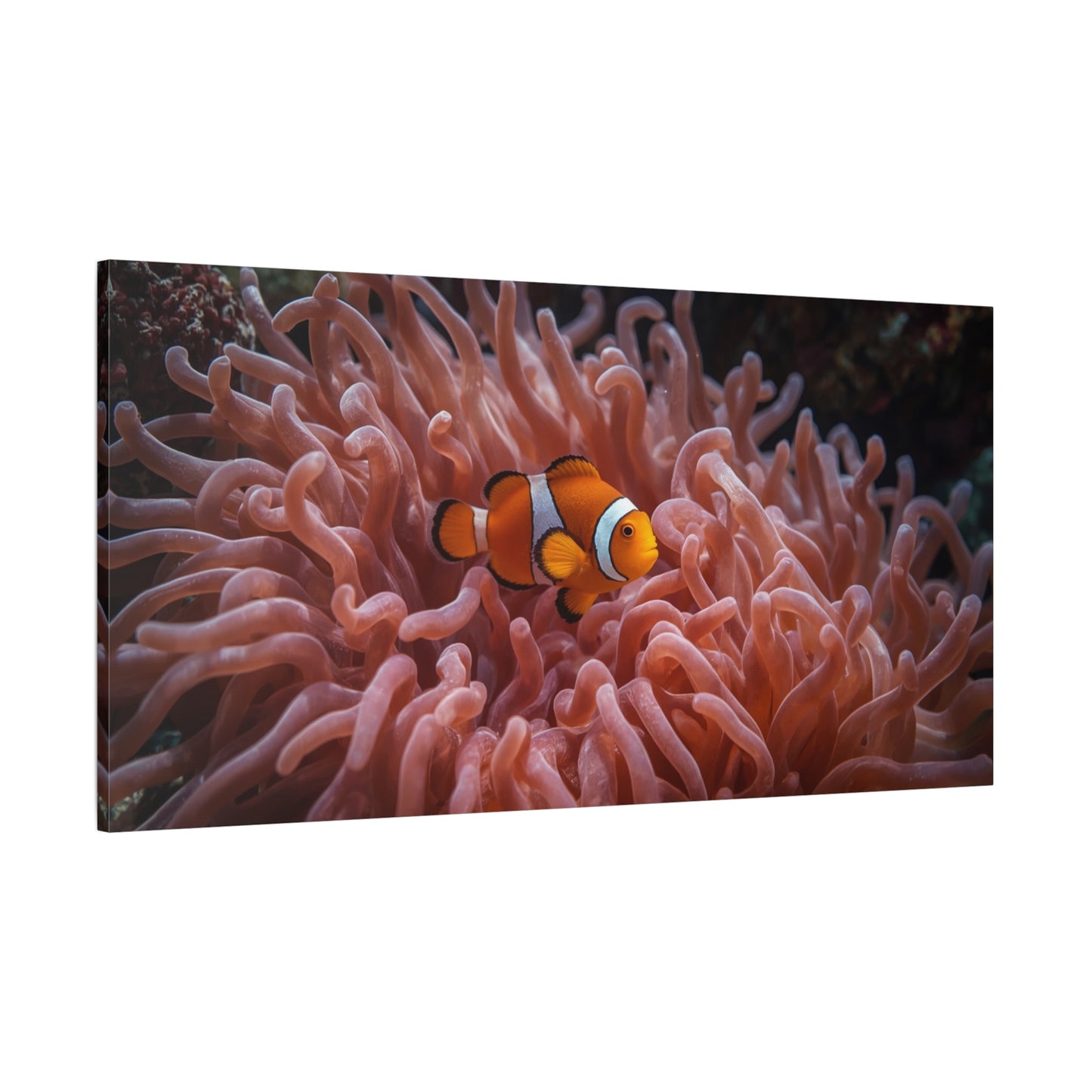 Clownfish Canvas Wall Art - Underwater Sea Anemone Art Print, Coastal Nautical Wall Decor - Matte Finish Stretched Canvas - Bedroom Decoration, Living Room Accent, Bathroom Art - Ready to Hang