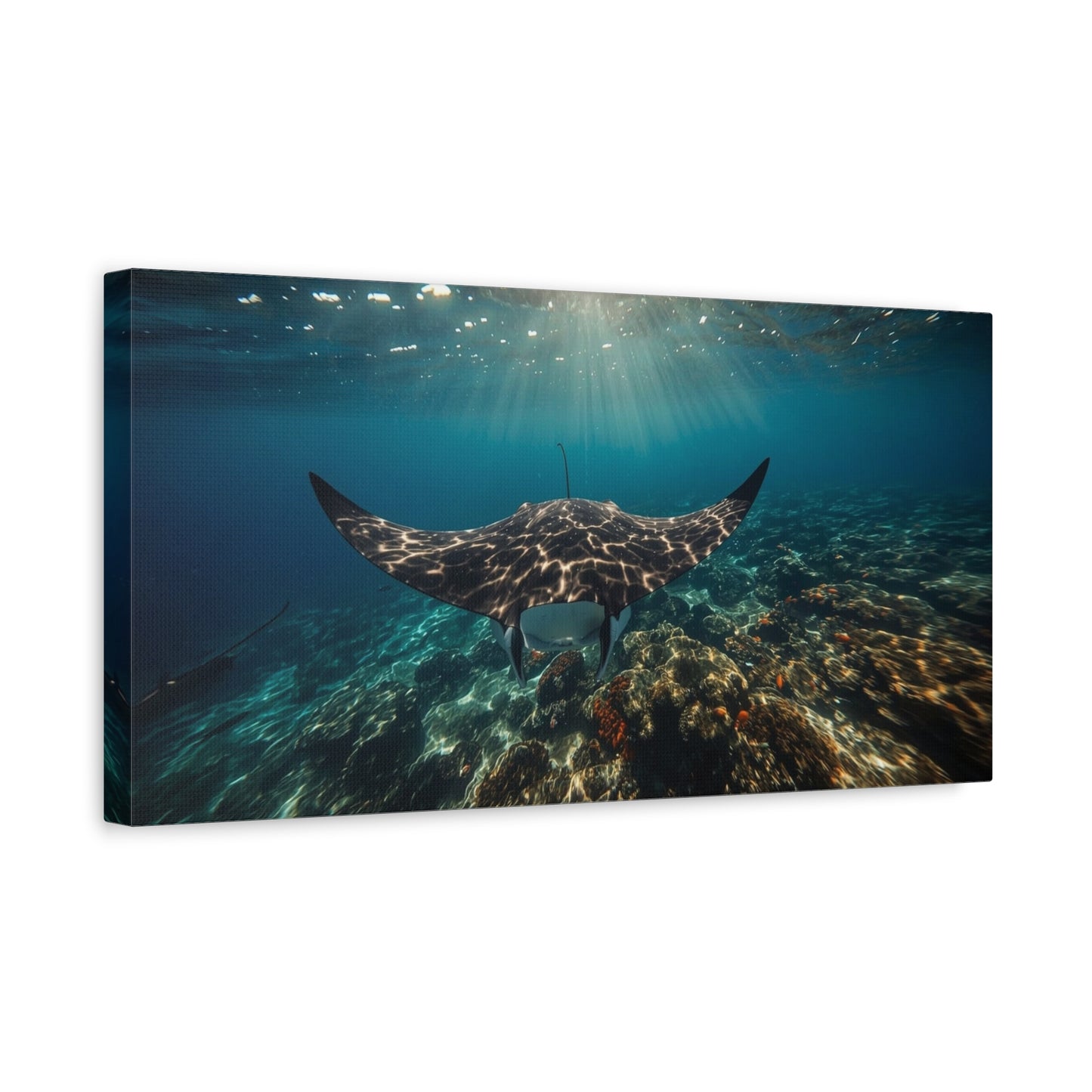 Manta Ray Canvas Wall Art - Underwater Ocean Art Print, Blue Coral Reef Seascape - Matte Cotton Canvas Print - Coastal Wall Decor, Living Room Home Decoration, Office Art - Bedroom Home Decoration