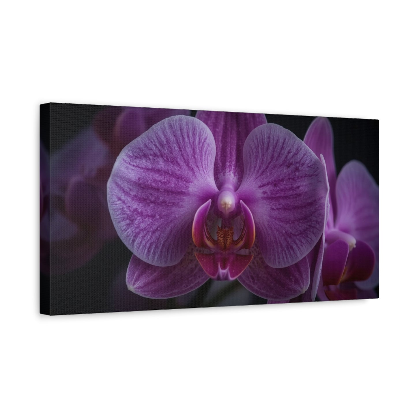Purple Orchid Canvas Wall Art - Phalaenopsis Flower Macro Floral Print, Botanical Art Print, Cotton Canvas, Contemporary Style - Bedroom Wall Decor, Spa Wall Accent - Bedroom Home Decoration