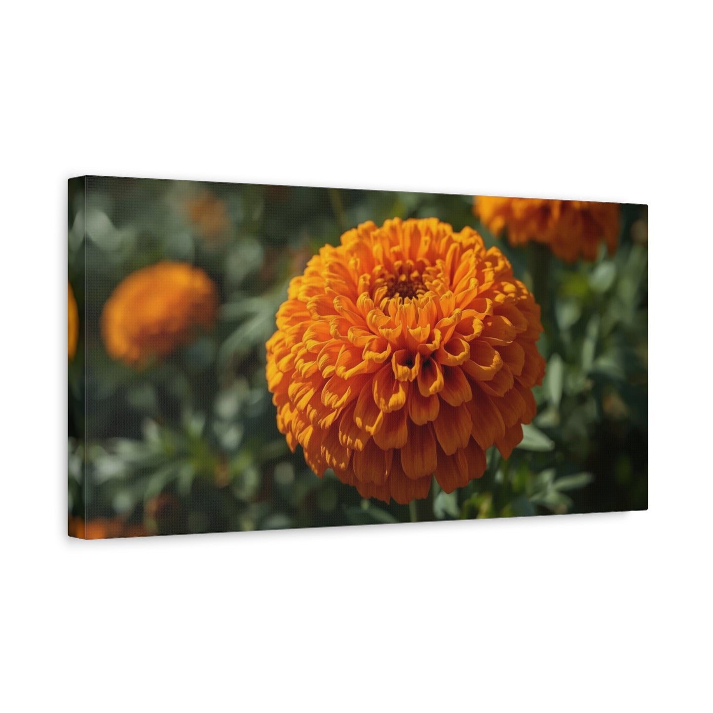 Orange Marigold Flower Canvas Wall Art - Botanical Floral Close Up Art Print - Warm Nature Home Decor, Matte Canvas Print - Bedroom Wall Accent, Living Room Decoration, Spa Style - Ready to Hang