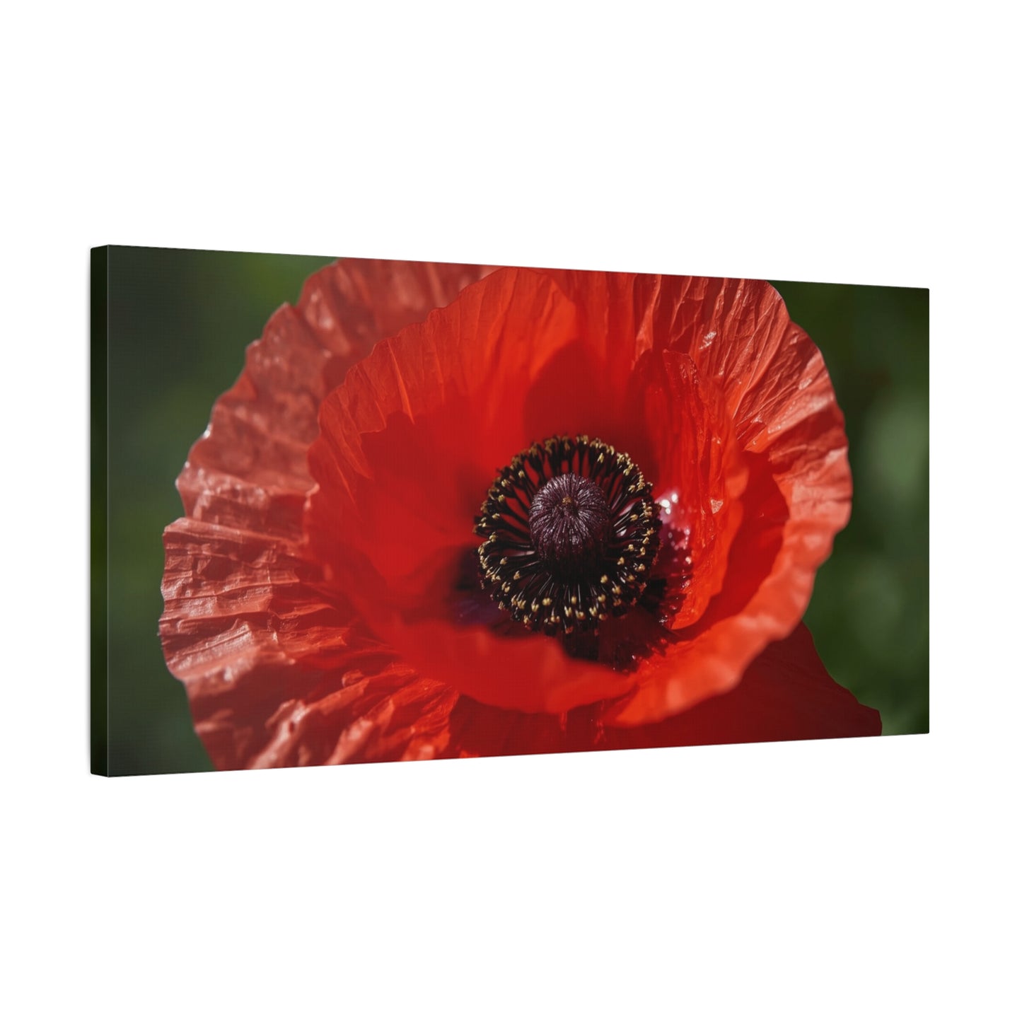 Red Poppy Flower Canvas Wall Art - Macro Botanical Art Print, Floral Nature Decor - Matte Cotton Canvas Print - Contemporary Style, Living Room Wall Decor, Bedroom Home Accent - Ready to Hang