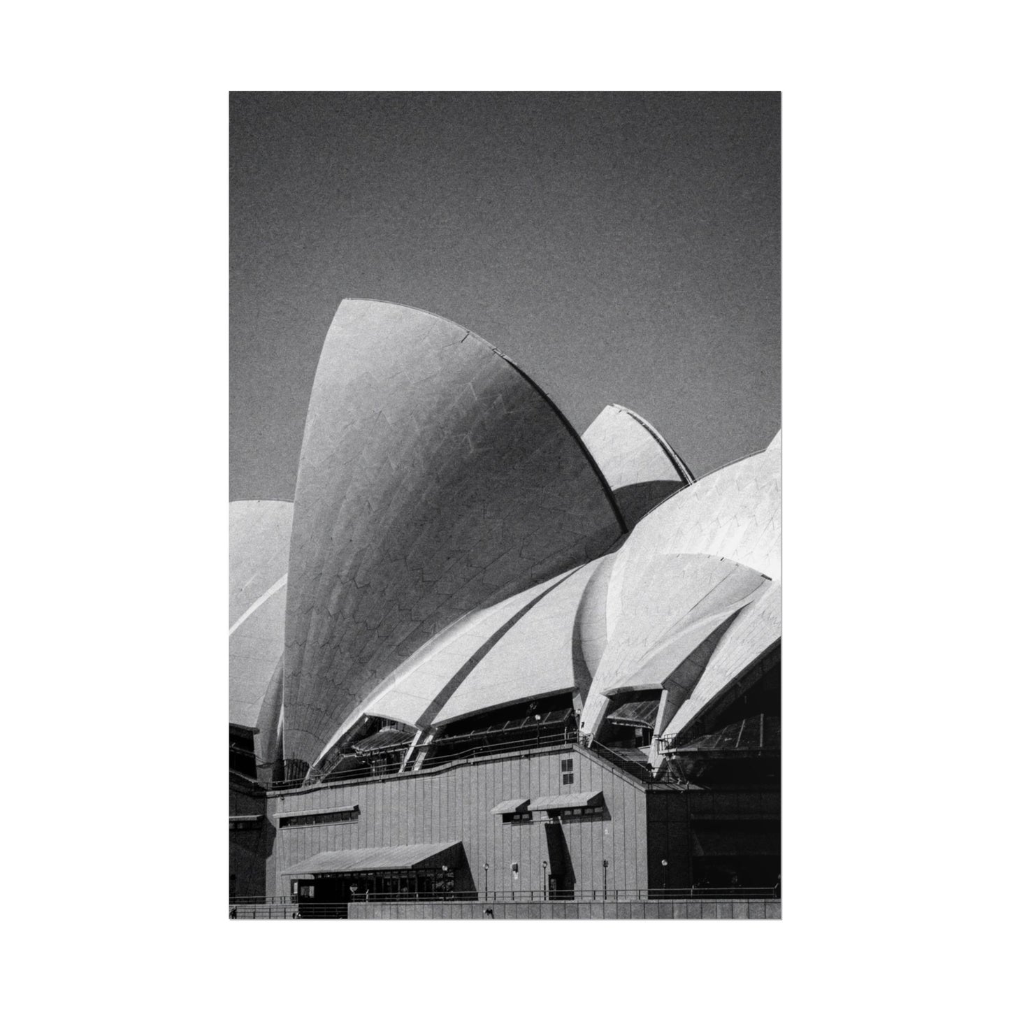 Flux Pro 2.0 Professional Black And White Photography O B37893ff — Poster