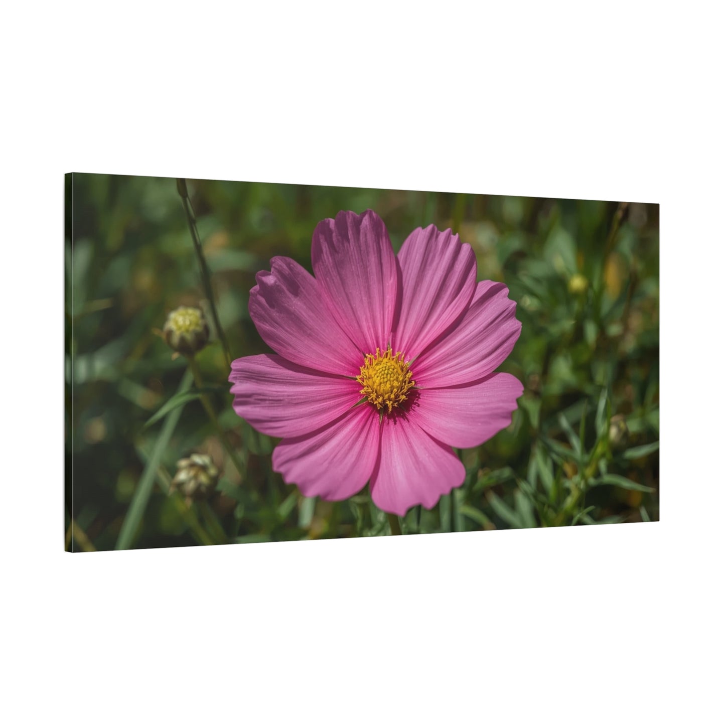 Pink Cosmos Flower Canvas Wall Art - Floral Nature Art Print, Soft Botanical Bloom - Matte Cotton Canvas - Bedroom Wall Decor, Bathroom Home Decoration, Spa Style - Bedroom Home Decoration