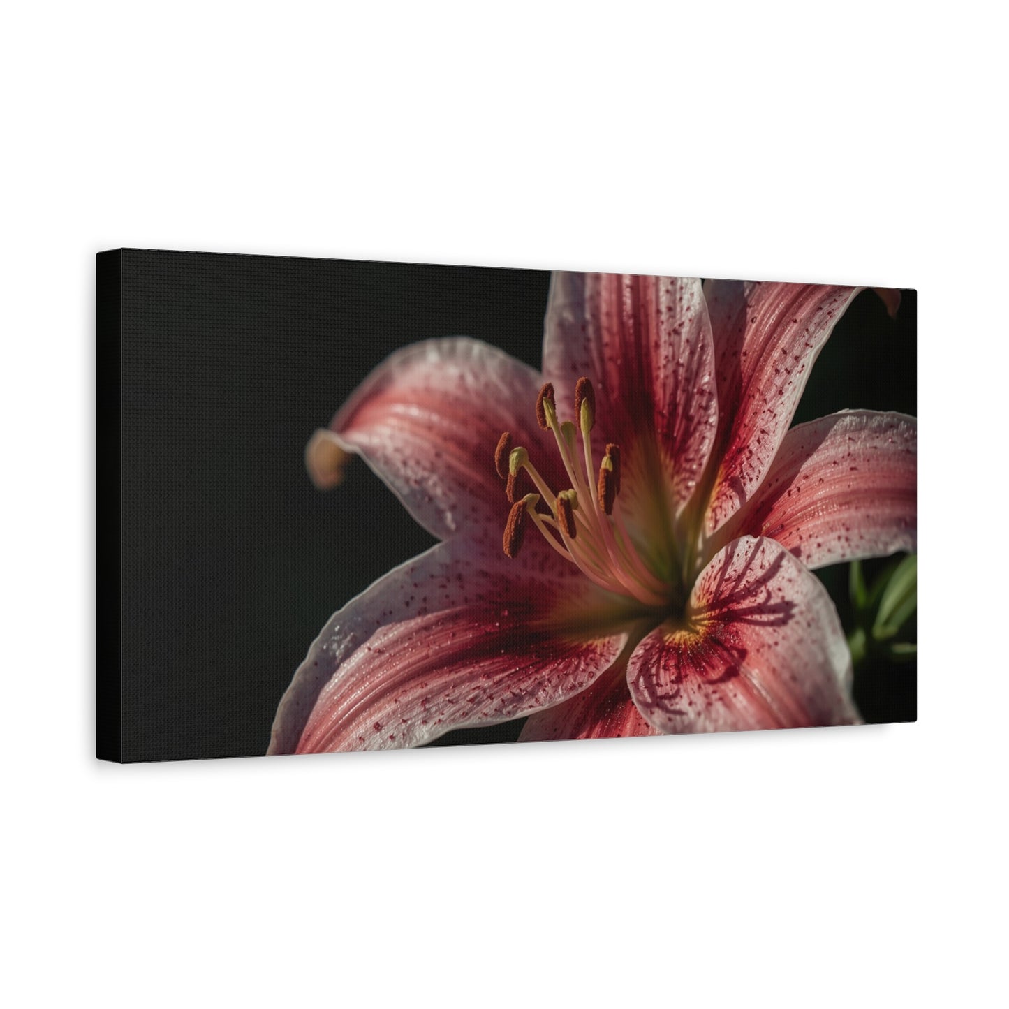 Pink Stargazer Lily Canvas Wall Art - Floral Macro Art Print, Dark Botanical Canvas Print - Matte Cotton Decor, Contemporary Style - Bedroom Wall Accent, Living Room Decoration - Ready to Hang