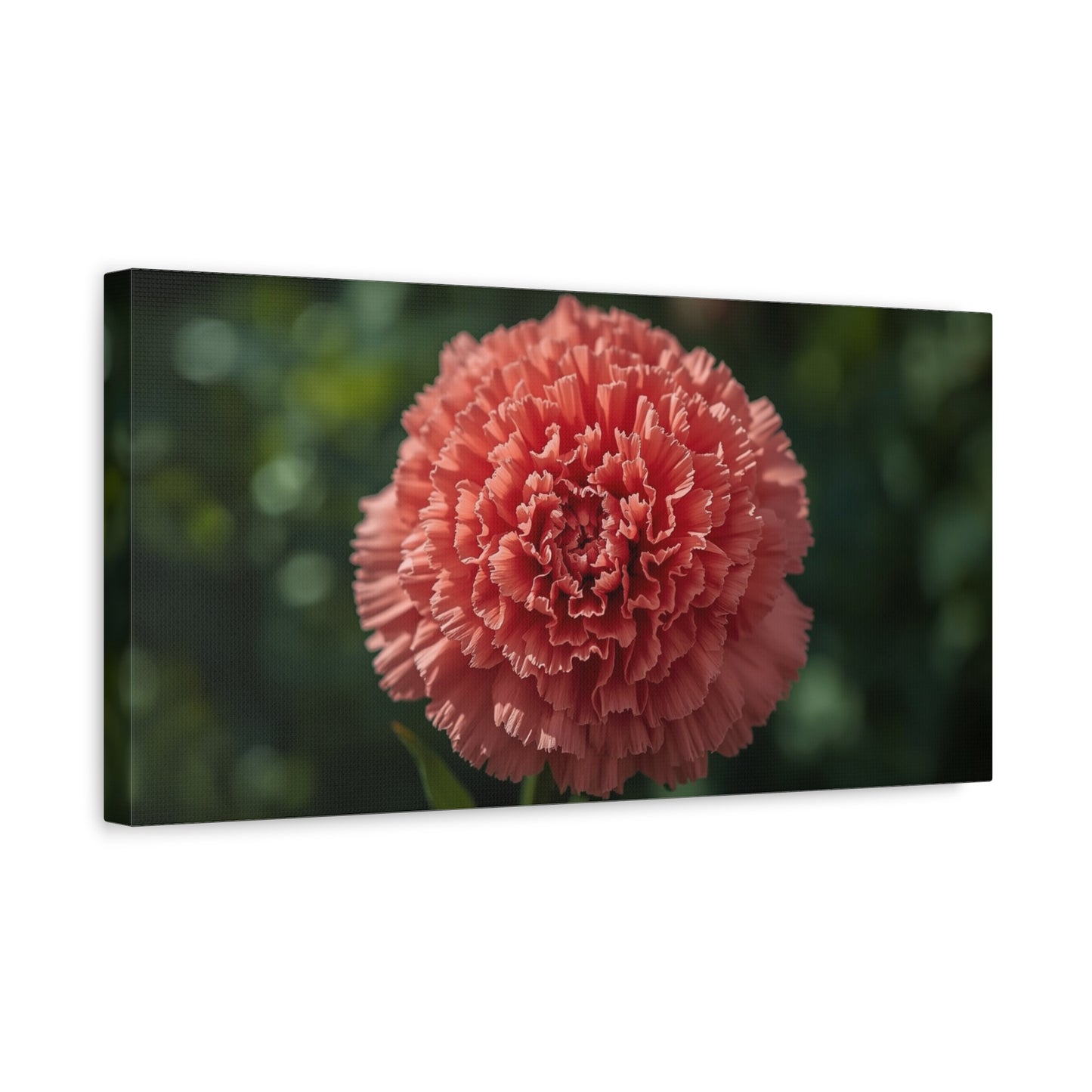Pink Carnation Canvas Wall Art - Floral Close Up Botanical Print, Soft Focus Garden Art Print - Matte Cotton Canvas - Bedroom Wall Decor, Living Room Home Decoration - Bedroom Home Decoration