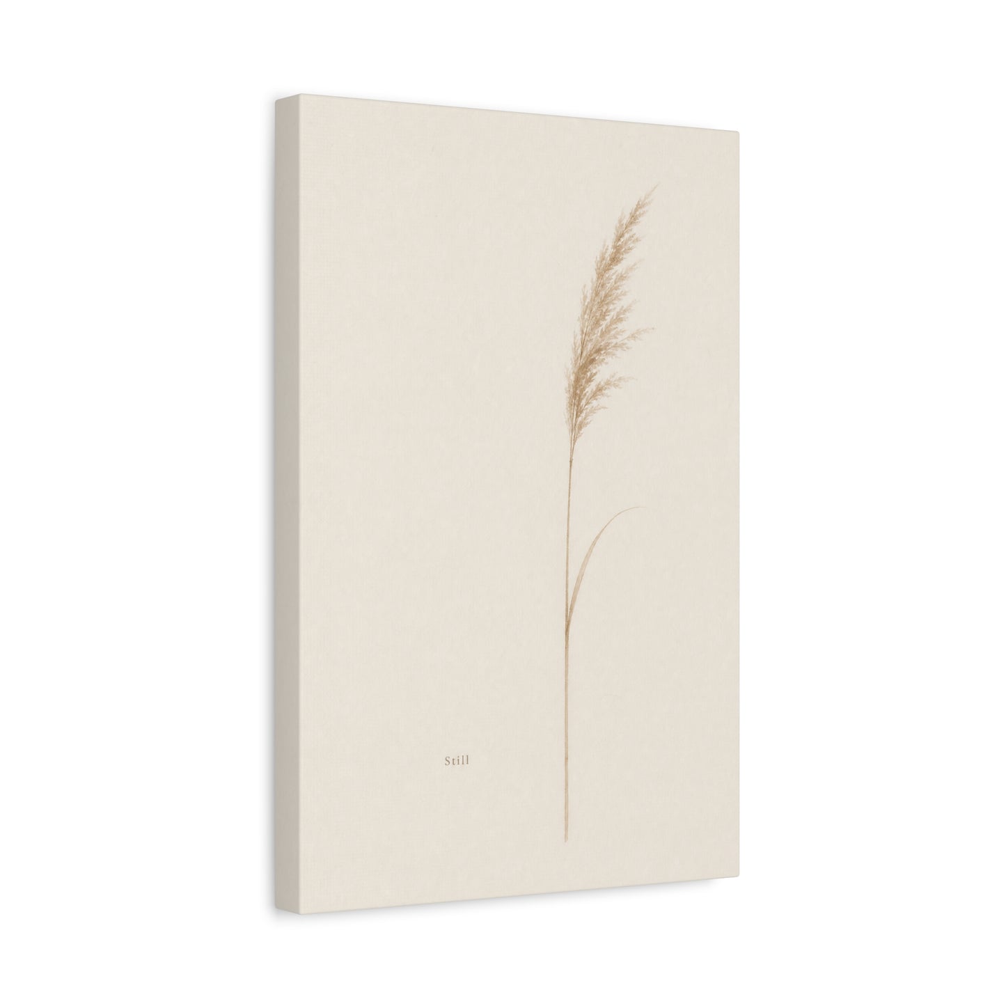 "Still" Minimalist Botanical Canvas Wall Art - Beige Pampas Grass Print, Neutral Contemporary Home Decor - Bedroom Living Room Decoration - Calm Nature Wall Hanging For Meditation Space