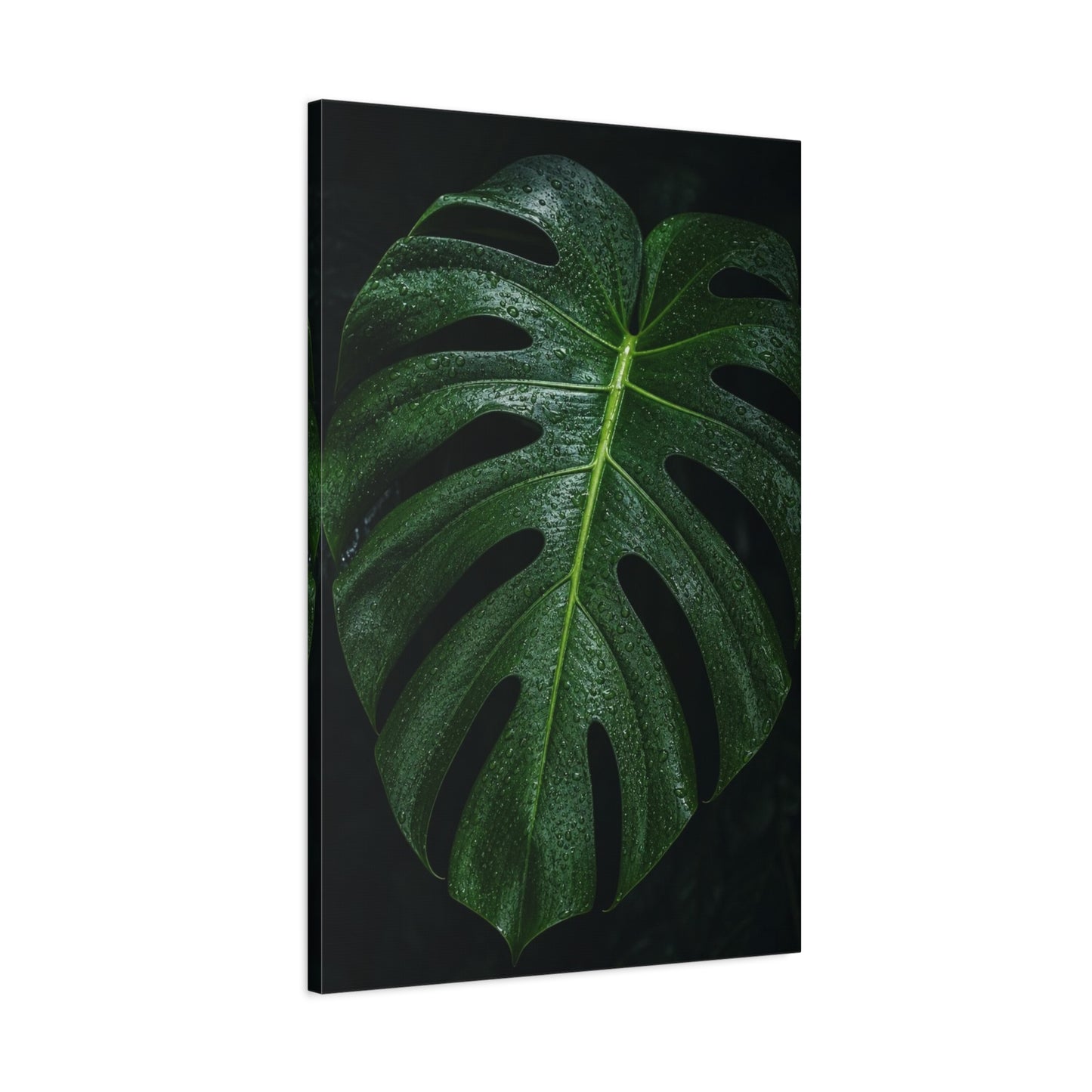Monstera Leaf Canvas Wall Art - Botanical Art Print, Dark Green Tropical Foliage Print - Matte Cotton Canvas - Contemporary Minimalist Style - Living Room Wall Decor, Bedroom Home Accent