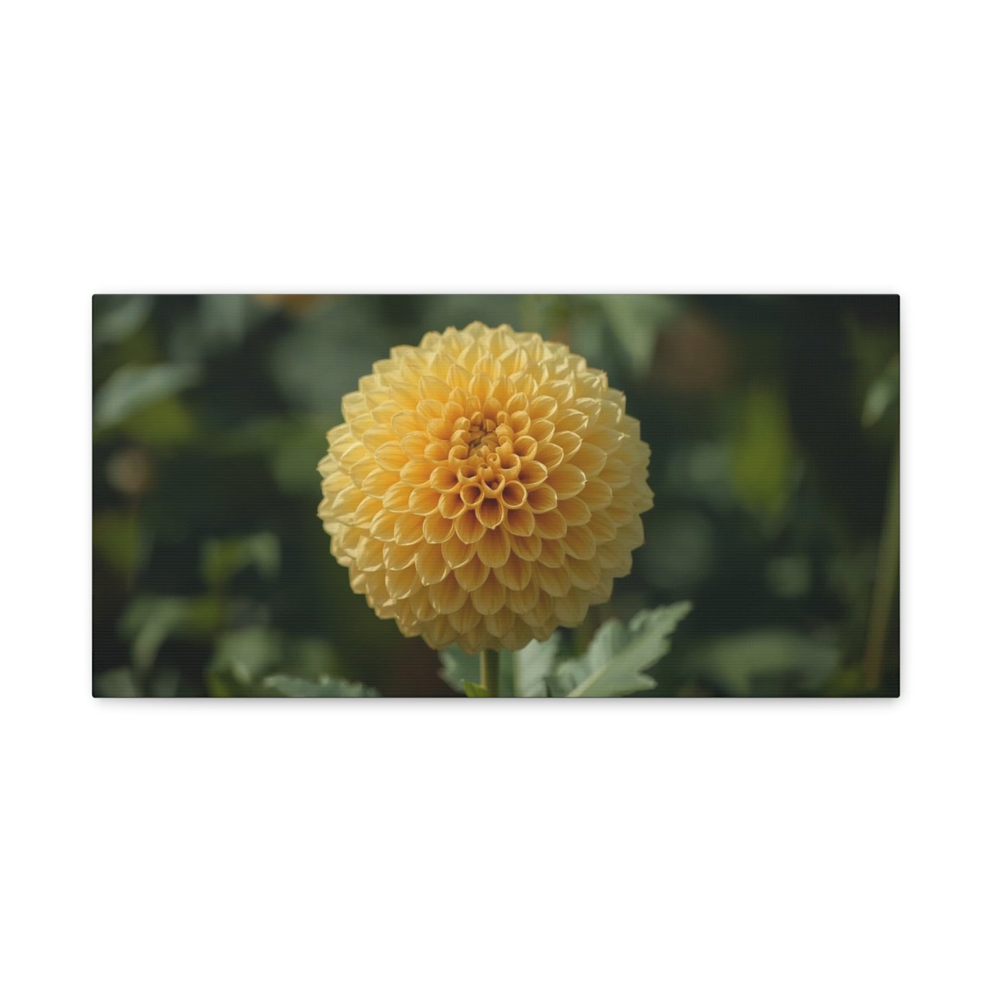 Yellow Dahlia Canvas Wall Art - Botanical Flower Close Up, Soft Focus Garden Art Print - Matte Canvas Print, Contemporary Style - Bedroom Wall Decor, Living Room Accent - Bedroom Home Decoration