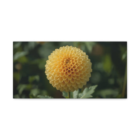 Yellow Dahlia Canvas Wall Art - Botanical Flower Close Up, Soft Focus Garden Art Print - Matte Canvas Print, Contemporary Style - Bedroom Wall Decor, Living Room Accent - Bedroom Home Decoration