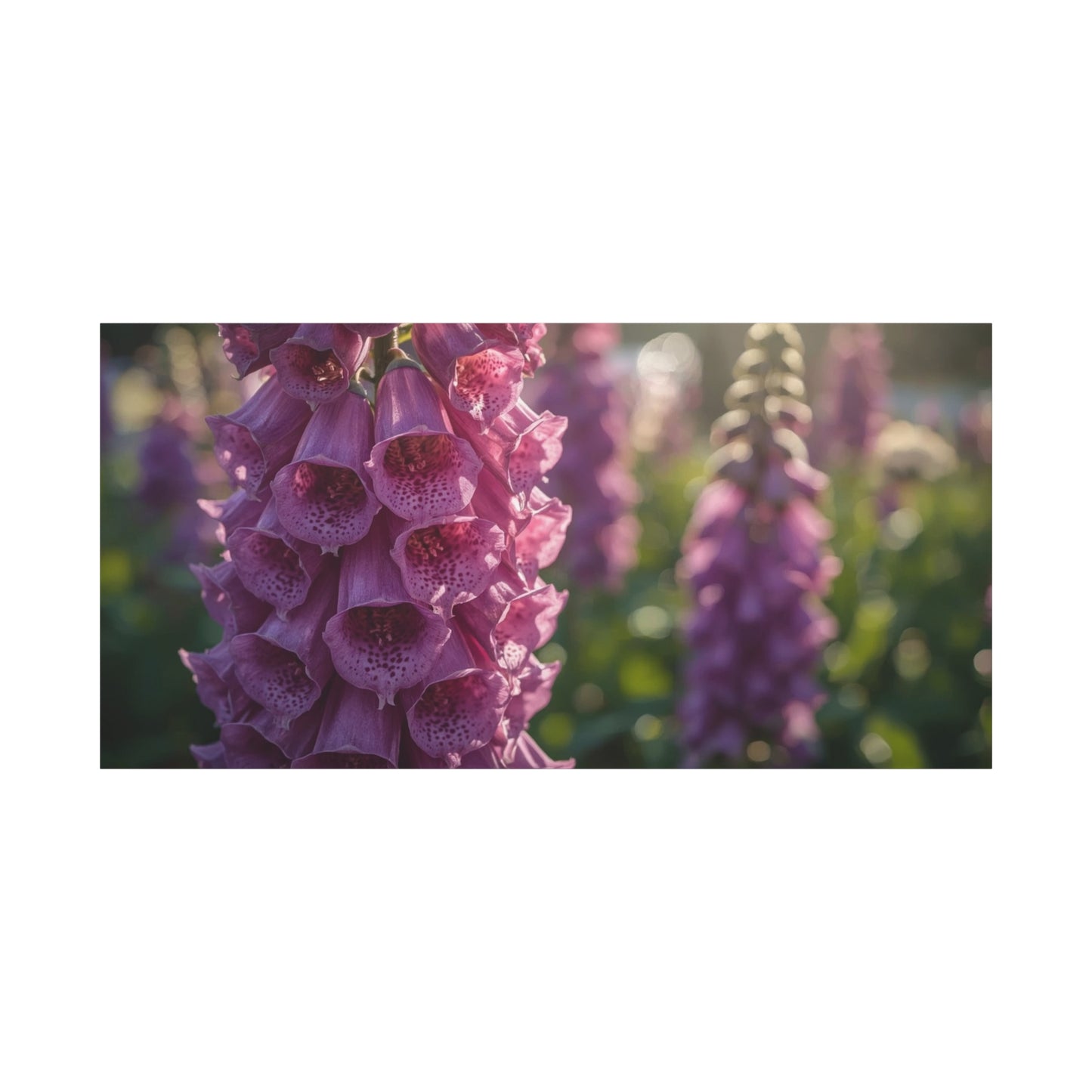 Purple Foxglove Flower Canvas Wall Art - Botanical Floral Art Print, Soft Golden Light, Matte Finish Decor - Bedroom Wall Hanging, Living Room Accent, Spa Style Interior Design - Ready to Hang