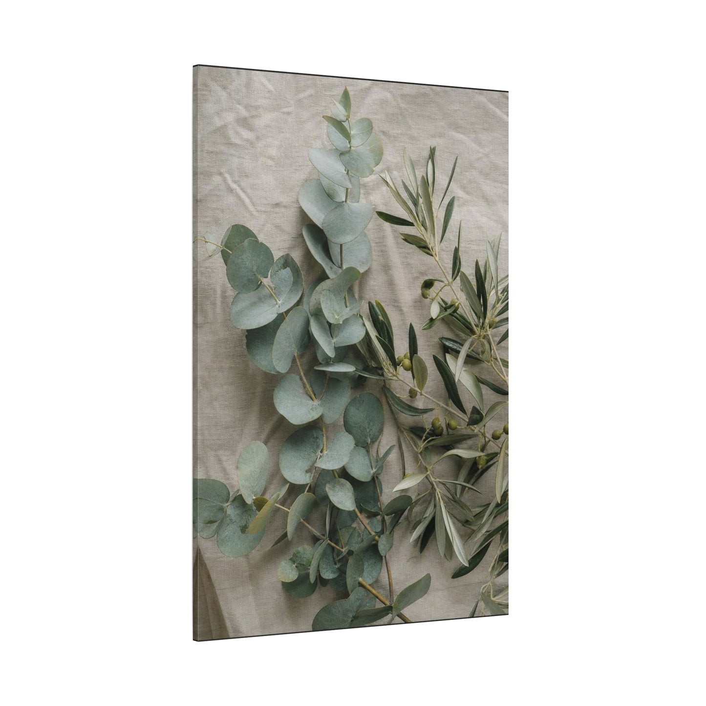 Eucalyptus And Olive Branch Canvas Wall Art - Botanical Still Life, Soft Sage Beige Tones - Matte Cotton Print, Minimalist Traditional Style - Bedroom Decoration, Spa Accent - Living Room Wall Decor
