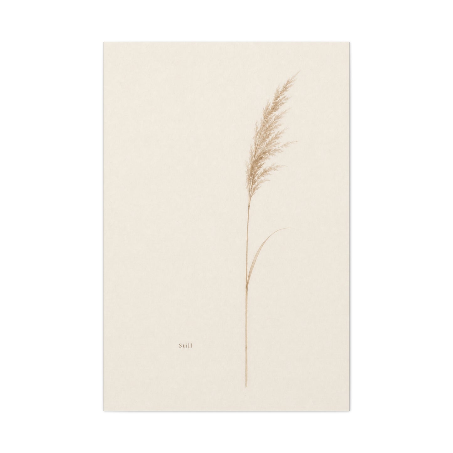"Still" Minimalist Botanical Canvas Wall Art - Beige Pampas Grass Print, Neutral Contemporary Home Decor - Bedroom Living Room Decoration - Calm Nature Wall Hanging For Meditation Space