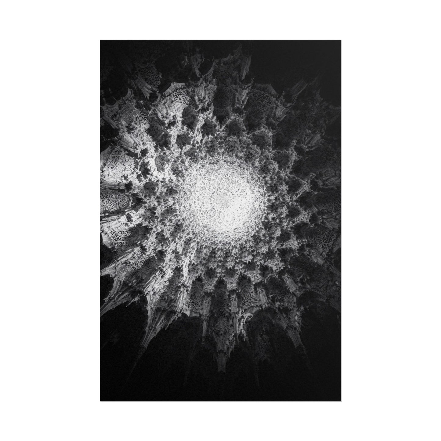 Flux Pro 2.0 Professional Black And White Photography O 484c1490 — Poster