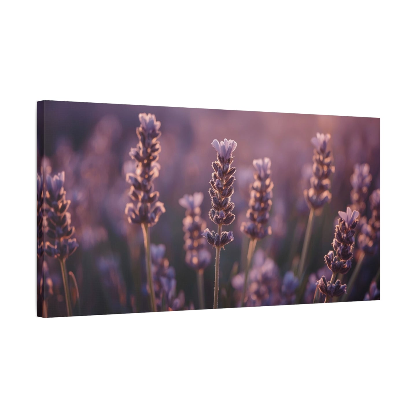 Lavender Field Canvas Art Print - Soft Purple Botanical Art Print, Cotton Matte Decor - Serene Bedroom Accent, Living Room Decoration, Spa Style Interior, Office Display - Living Room Wall Decor