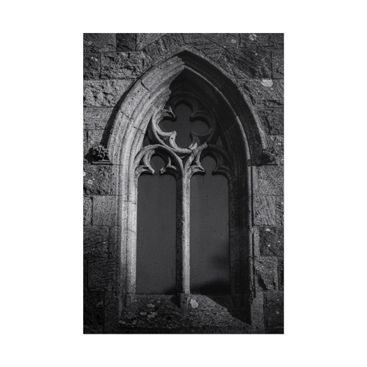 Flux Pro 2.0 Professional Black And White Photography O 6e9b9988 — Poster