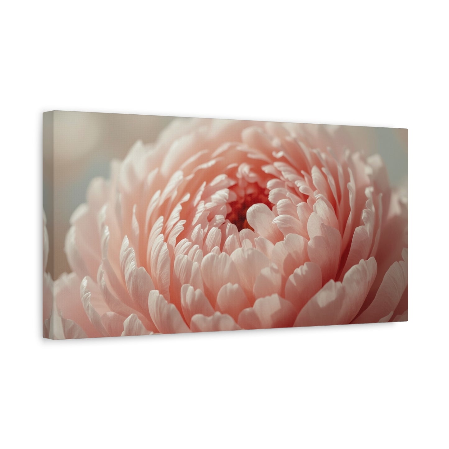 Blush Pink Peony Canvas Wall Art - Soft Floral Close Up, Botanical Home Decoration - Matte Cotton Print, Romantic Traditional Style - Bedroom Wall Decor, Living Room Accent - Bedroom Home Decoration