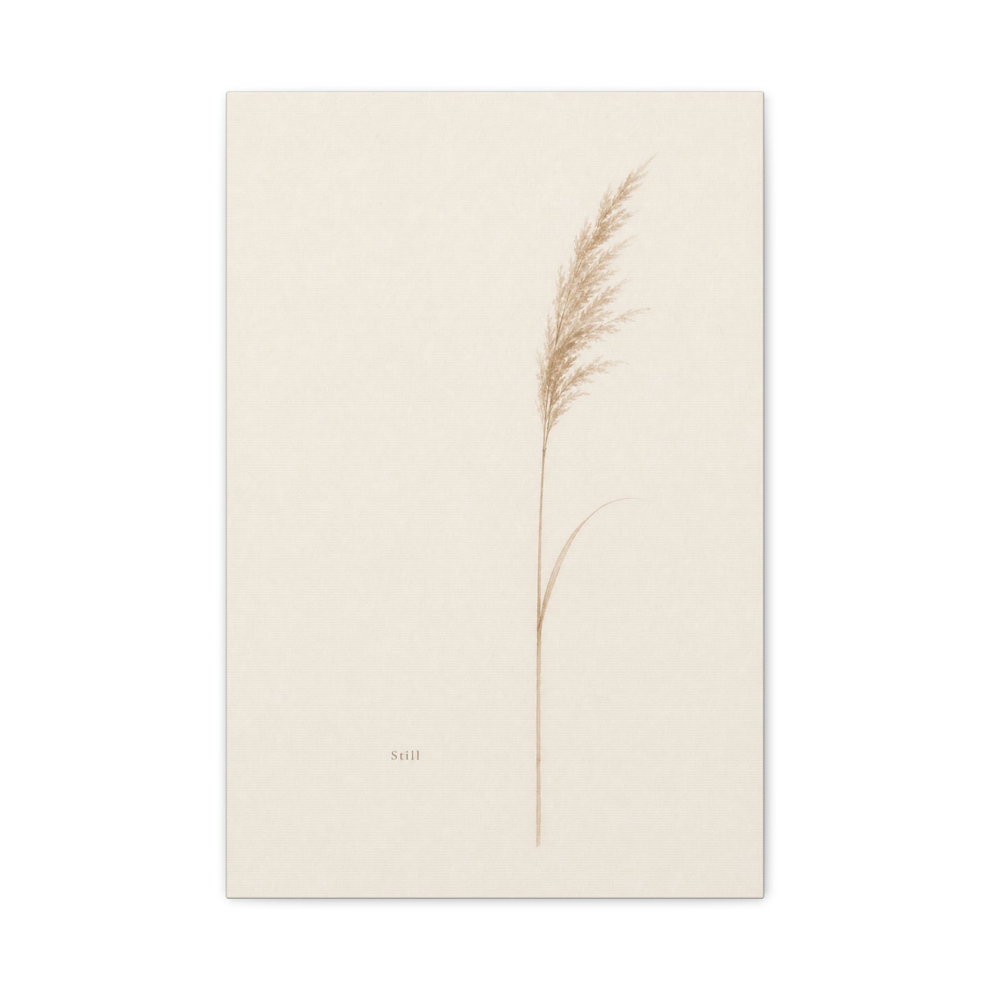 "Still" Minimalist Botanical Canvas Wall Art - Beige Pampas Grass Print, Neutral Contemporary Home Decor - Bedroom Living Room Decoration - Calm Nature Wall Hanging For Meditation Space