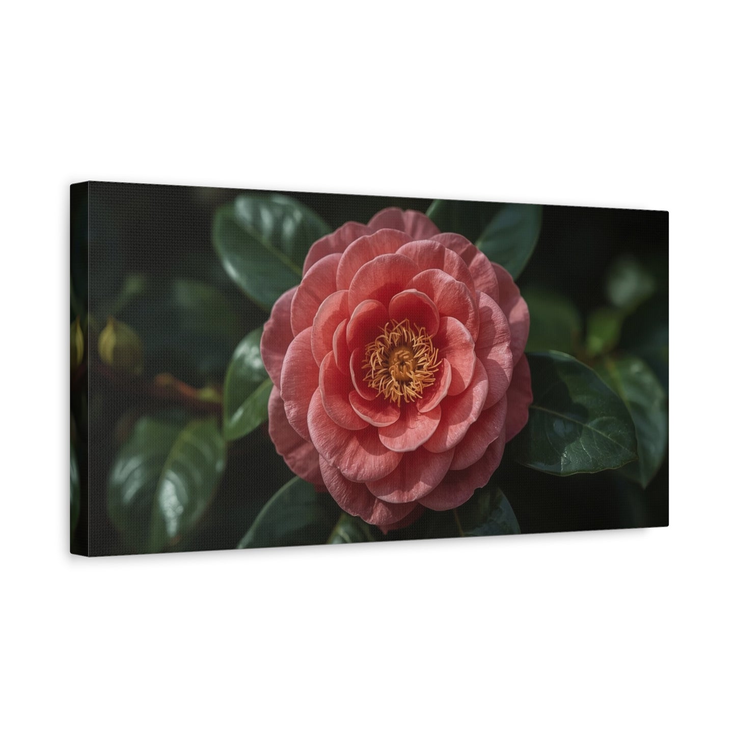 Pink Camellia Flower Canvas Wall Art - Botanical Floral Art Print, Dark Green Leaves, Matte Finish Decor - Traditional Style, Bedroom Wall Decor, Living Room Accent - Bedroom Home Decoration