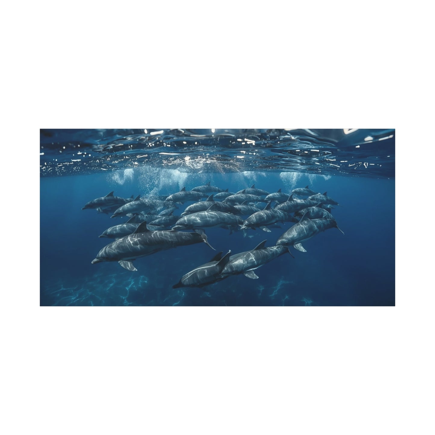 Dolphin Pod Canvas Wall Art - Underwater Ocean Art Print, Blue Marine Wildlife Decor - Matte Coastal Style - Living Room Wall Decor, Bedroom Home Decoration - Bedroom Home Decoration