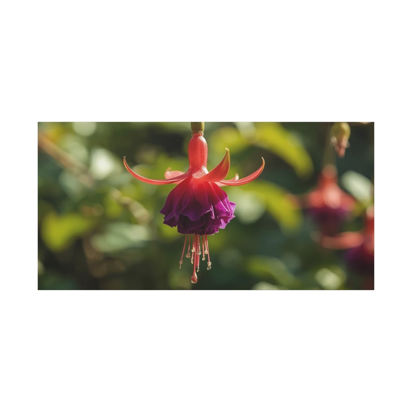 Fuchsia Flower Canvas Wall Art - Botanical Macro Art Print, Red Purple Bloom - Matte Cotton Art Print - Contemporary Nature Style - Bedroom Wall Decor, Spa Room Accent - Bedroom Home Decoration