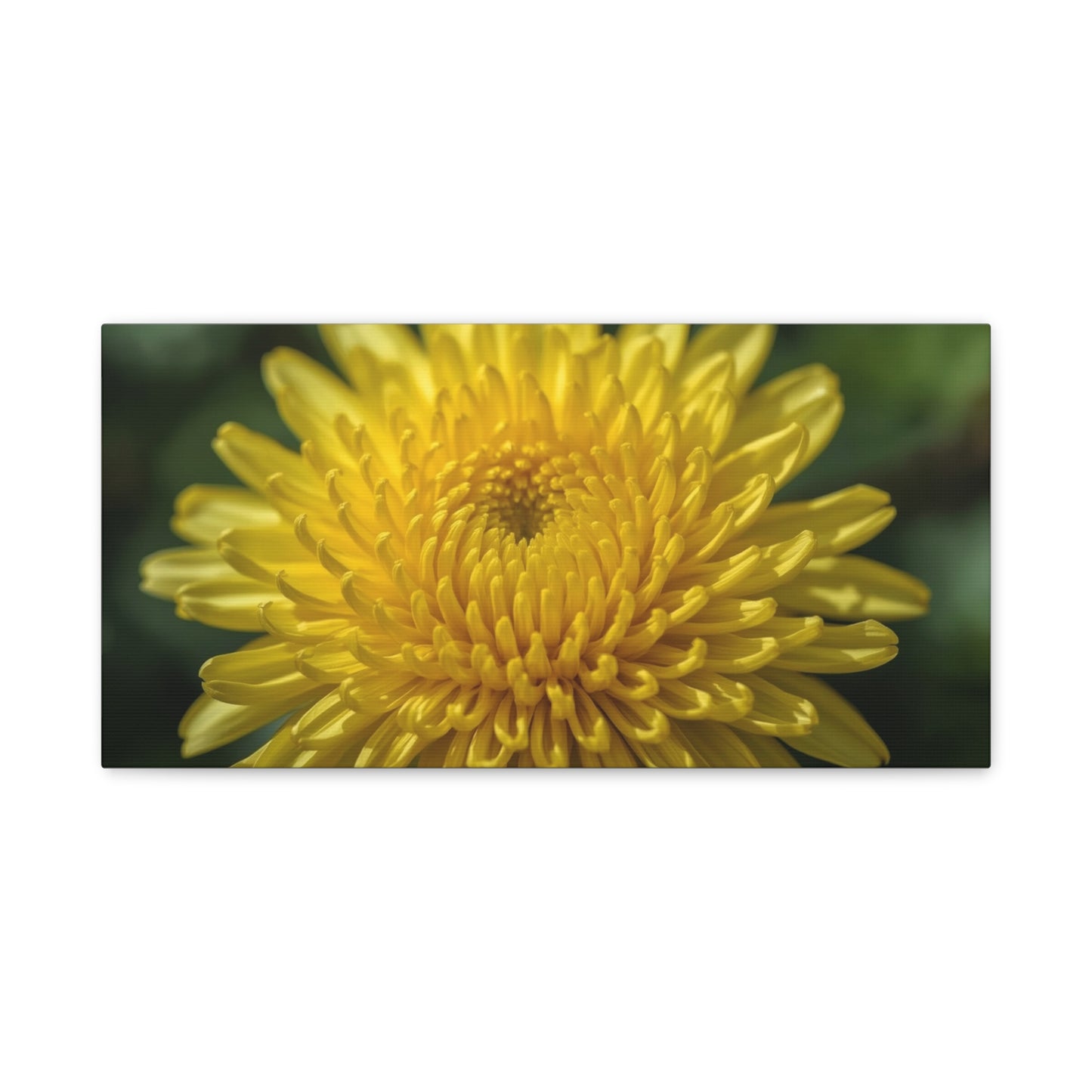 Yellow Chrysanthemum Canvas Wall Art - Floral Macro Art Print, Botanical Canvas Print - Modern Matte Decor, Bedroom Wall Accent, Living Room Home Decoration Office Art - Bedroom Home Decoration