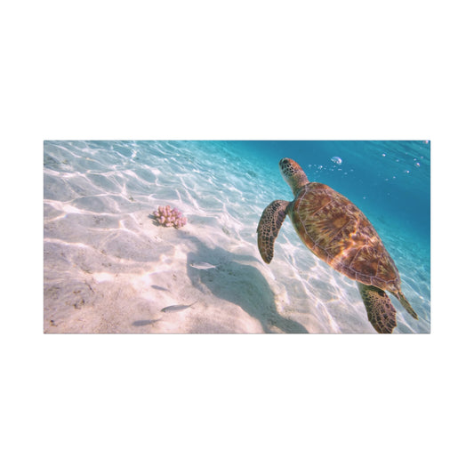 Sea Turtle Canvas Wall Art - Underwater Ocean Art Print, Coastal Beach Decor, Cotton Canvas Print, Serene Blue Seascape, Living Room Wall Decor, Bedroom Home Decoration - Bedroom Home Decoration