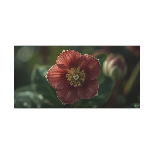 Hellebore Flower Canvas Wall Art - Botanical Floral Art Print, Moody Matte Canvas Print - Traditional Style, Bedroom Wall Decor, Living Room Home Decoration, Office Art - Bedroom Home Decoration
